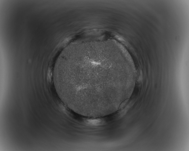 X0000085780669200703301426