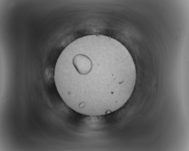 X0000085780672200703301426