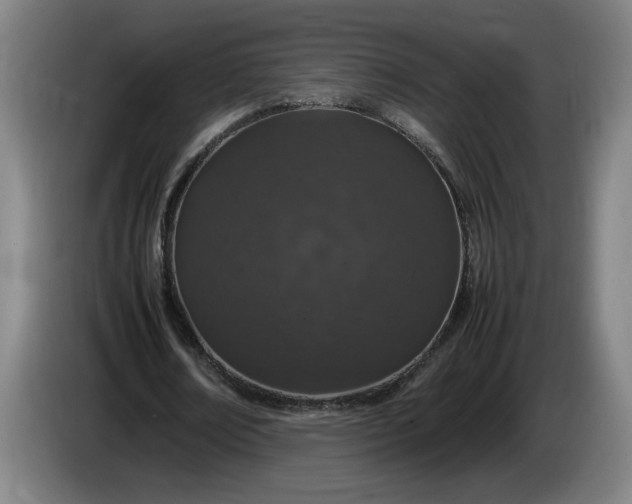 X0000085780674200703301426