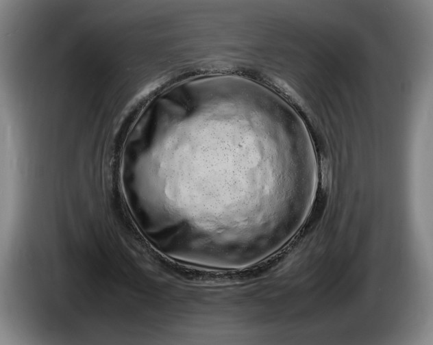 X0000085780675200703301426