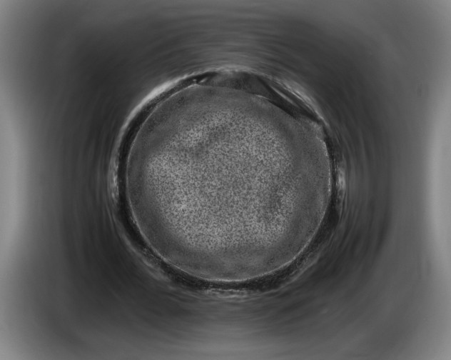 X0000085780676200703301426