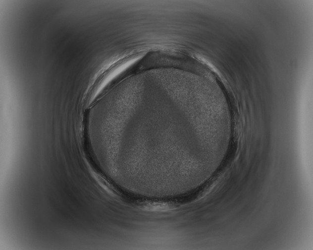 X0000085780677200703301426