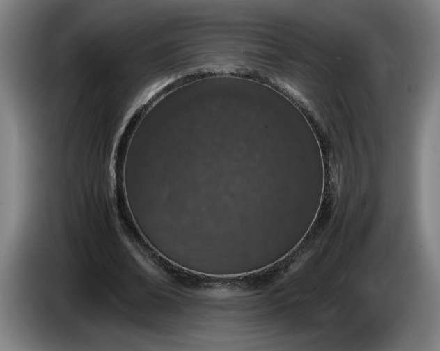 X0000085780678200703301426