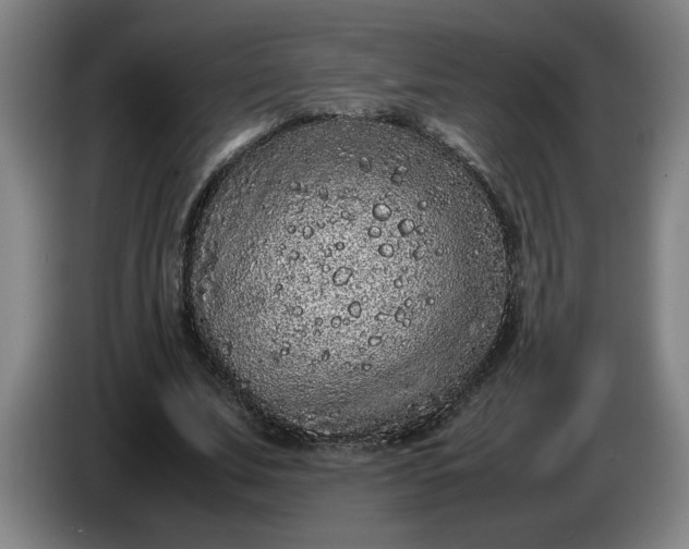 X0000085780679200703301426