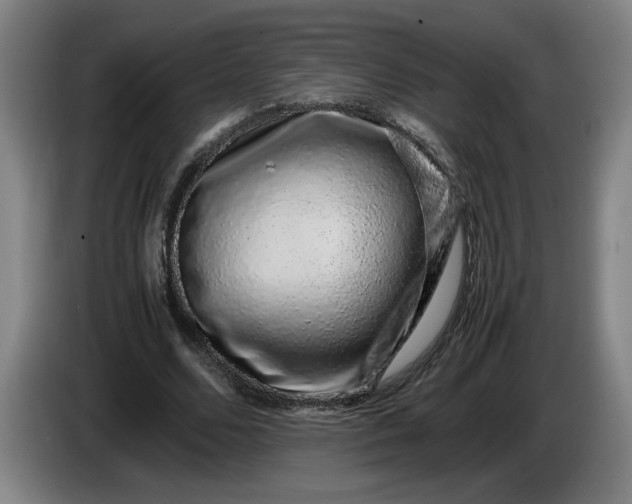 X0000085780680200703301426