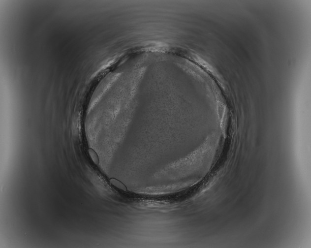 X0000085780681200703301426