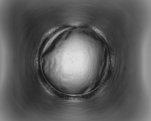 X0000085780682200703301426