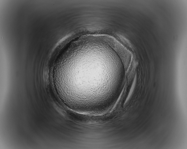 X0000085780684200703301426