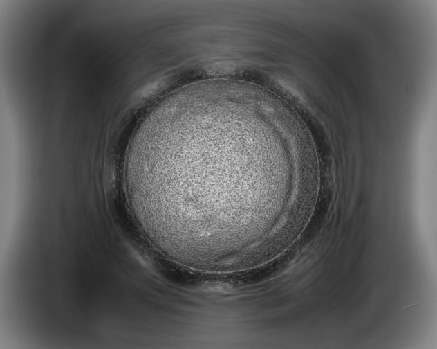 X0000085780687200703301425