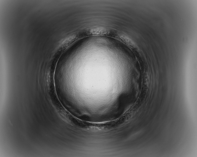 X0000085780690200703301425