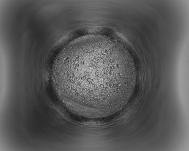 X0000085780691200703301425