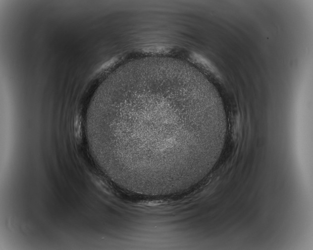 X0000085780692200703301425