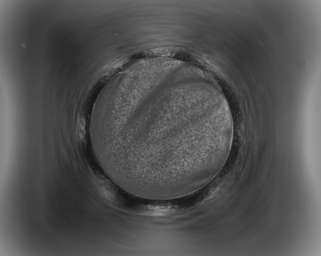 X0000085780693200703301425