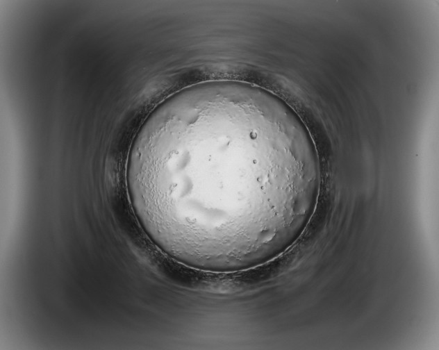 X0000085780695200703301425