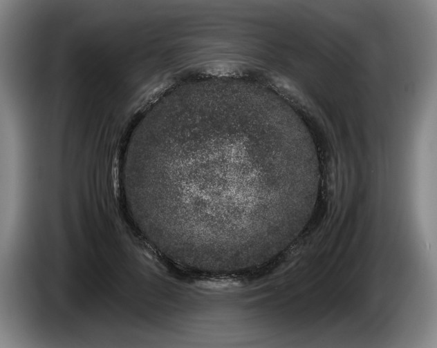 X0000085780696200703301425