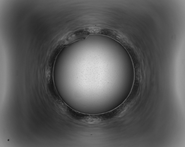 X0000085780697200703301425