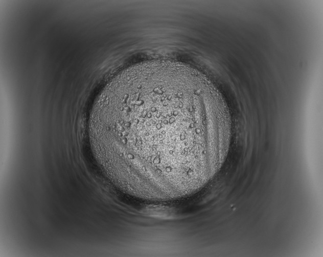 X0000085780699200703301425