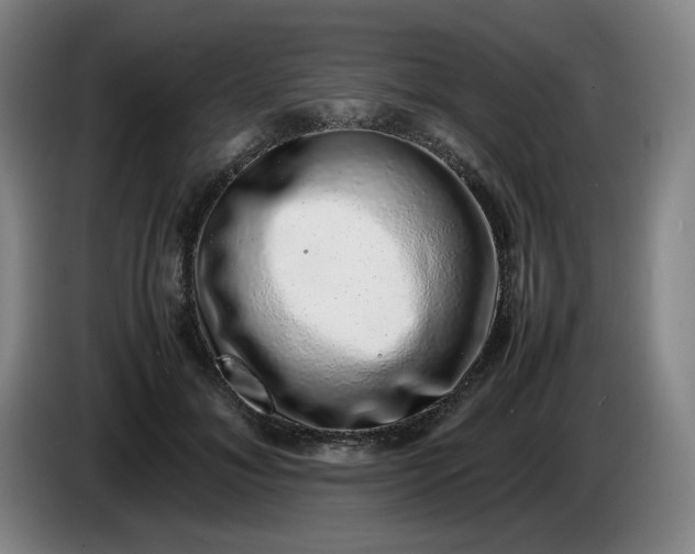 X0000085780700200703301425