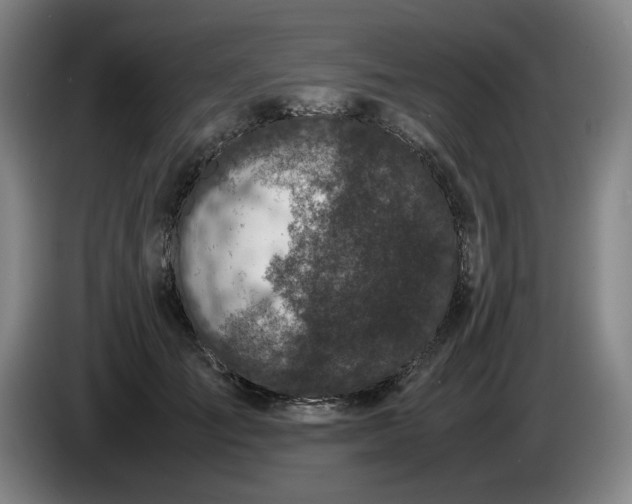 X0000085780701200703301425