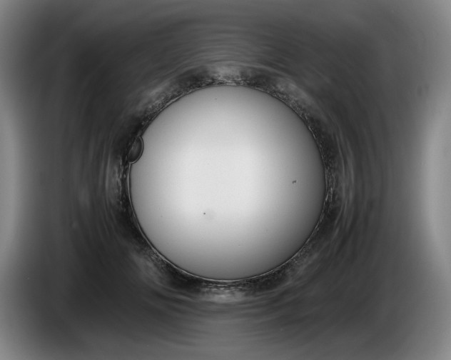 X0000085780702200703301425