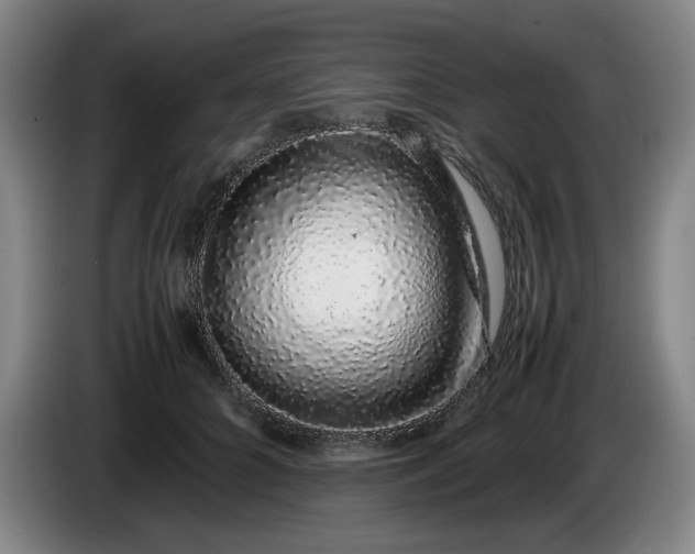 X0000085780704200703301425