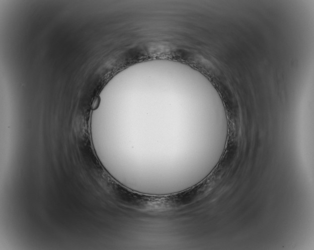 X0000085780705200703301425