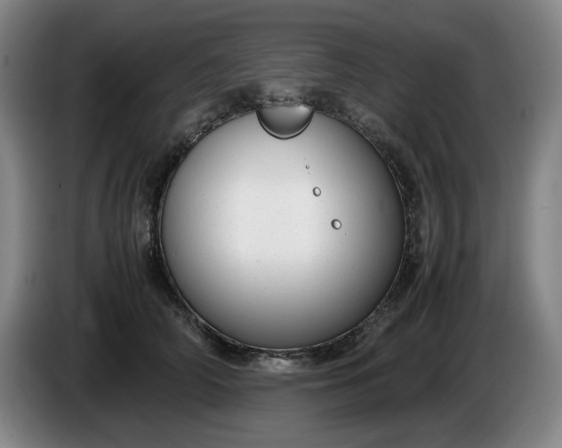 X0000085780706200703301425