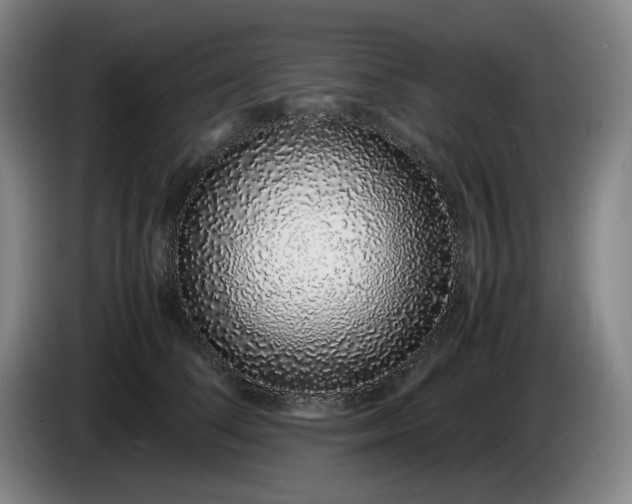 X0000085780708200703301425