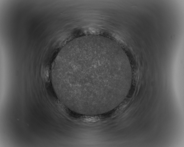 X0000085780709200703301425