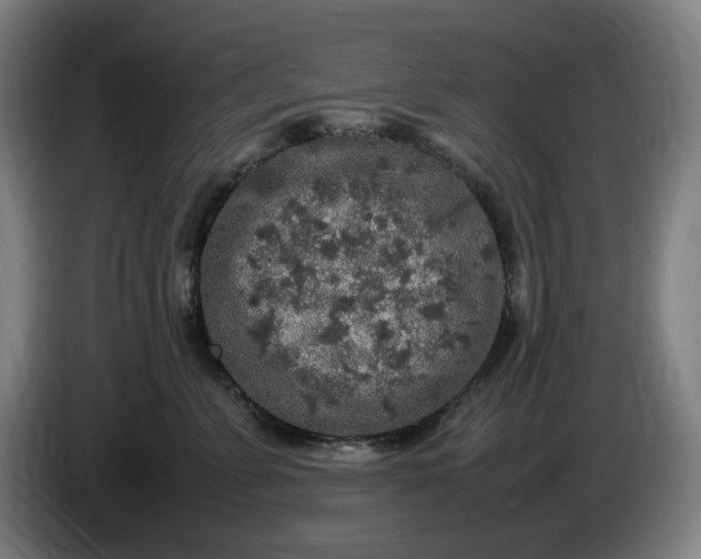 X0000085780715200703301425