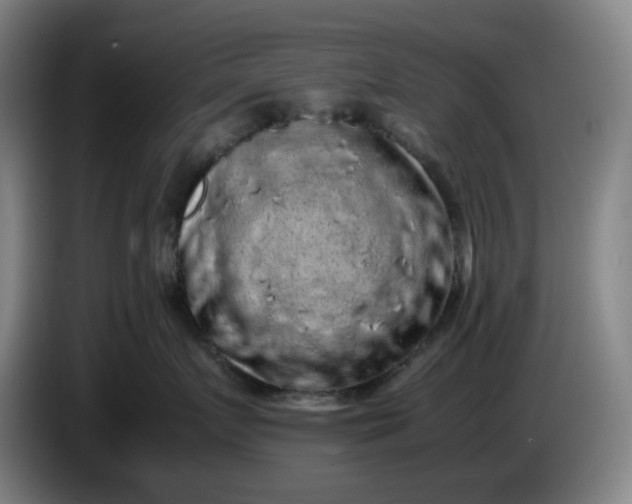 X0000085780719200703301425