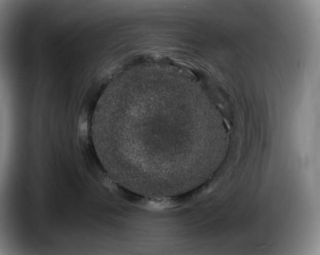 X0000085780720200703301425