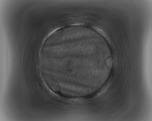 X0000085780721200703301424