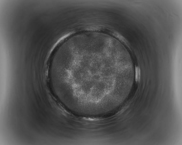 X0000085780723200703301424