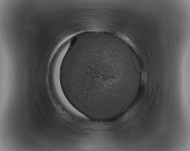 X0000085780724200703301424