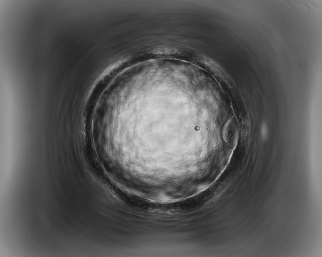 X0000085780727200703301424