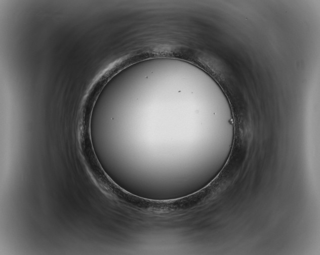 X0000085780728200703301424