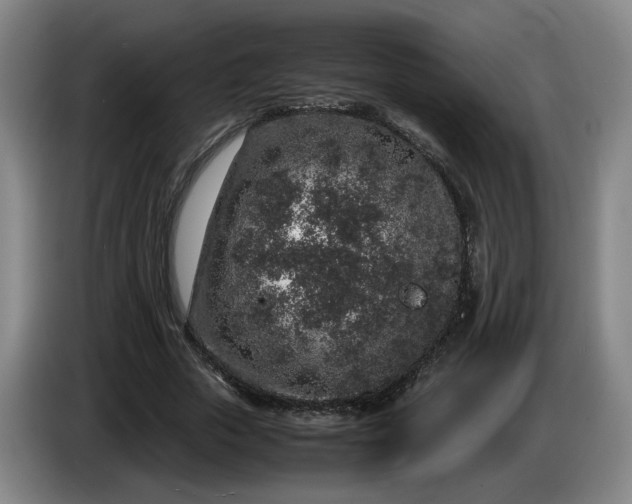 X0000085780729200703301424