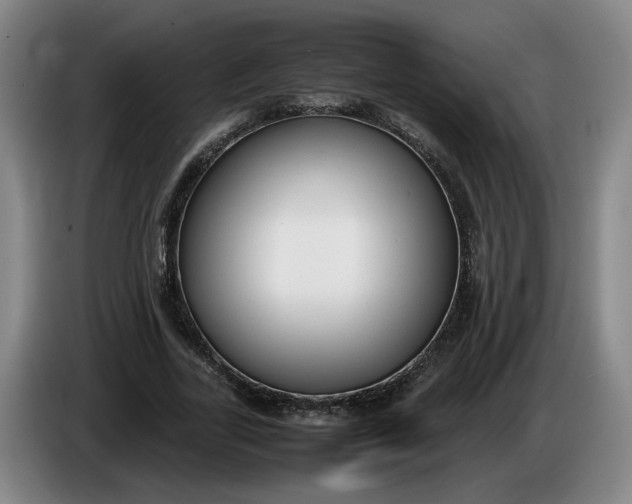 X0000085780731200703301424