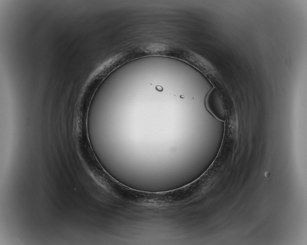 X0000085780732200703301424