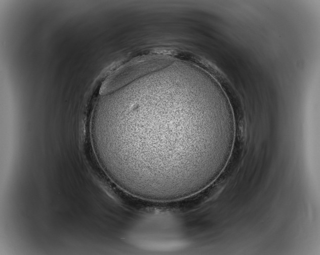 X0000085780733200703301425