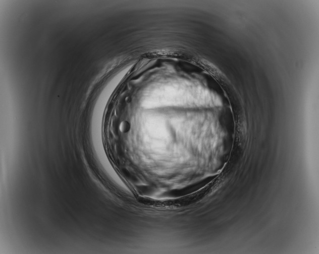 X0000085780734200703301425