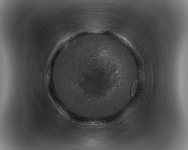 X0000085780736200703301425