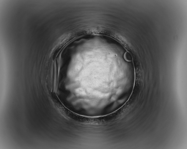 X0000085780738200703301425