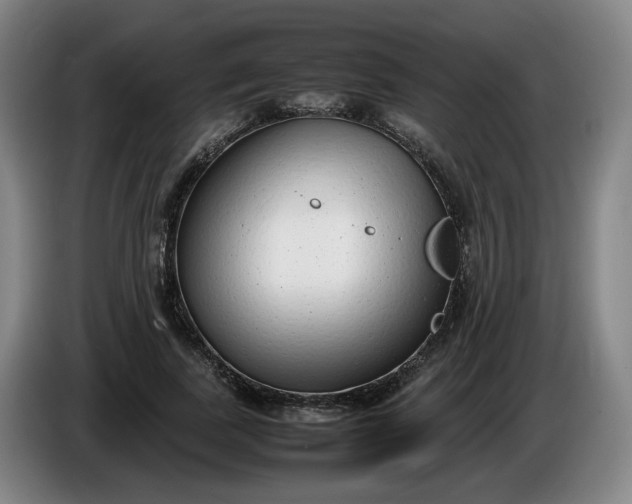 X0000085780739200703301425