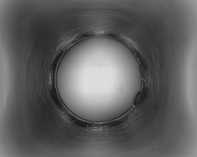 X0000085780740200703301425