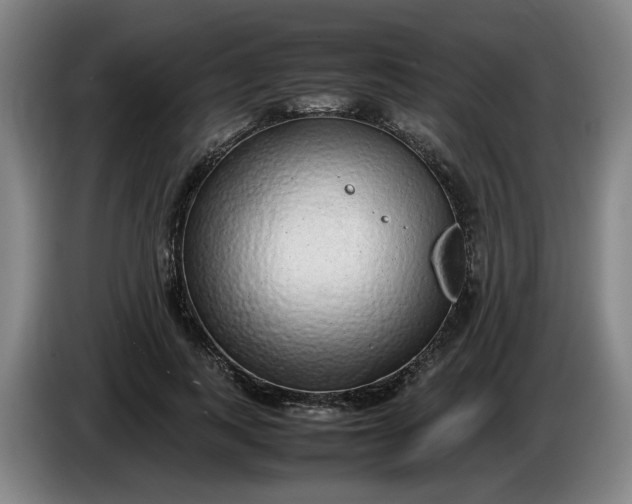 X0000085780743200703301425