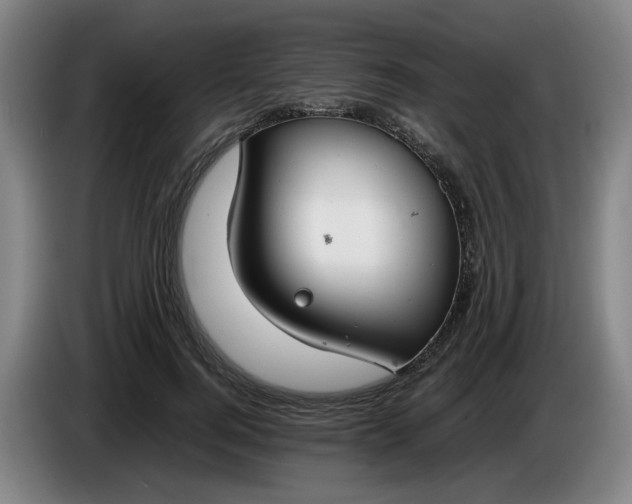 X0000085780744200703301425