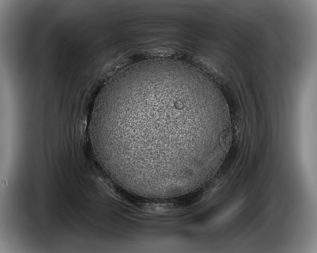 X0000085780745200703301425