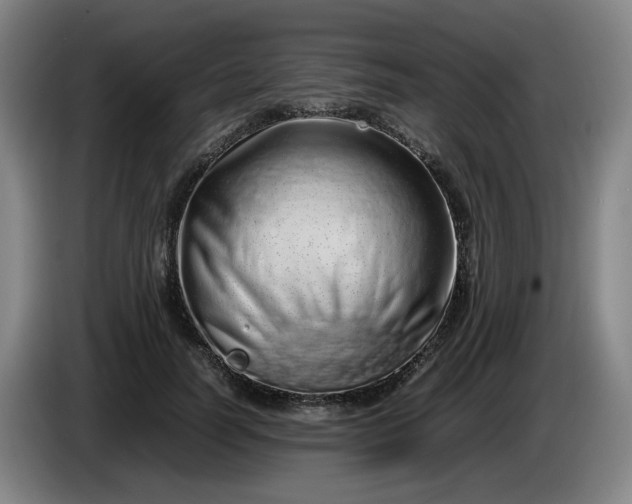 X0000085780746200703301425